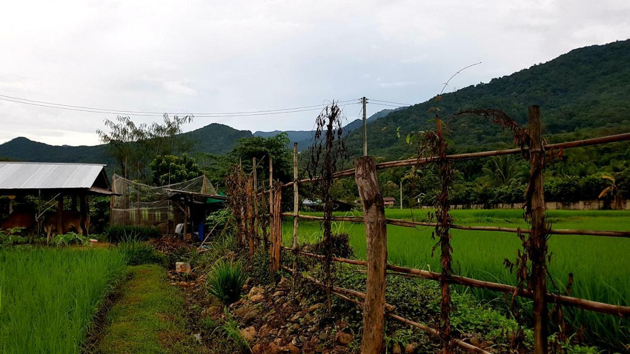 ฮ้างนาตาจันทร์ Villa Pua Eksteriør billede